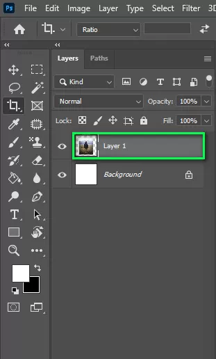 step 1-1