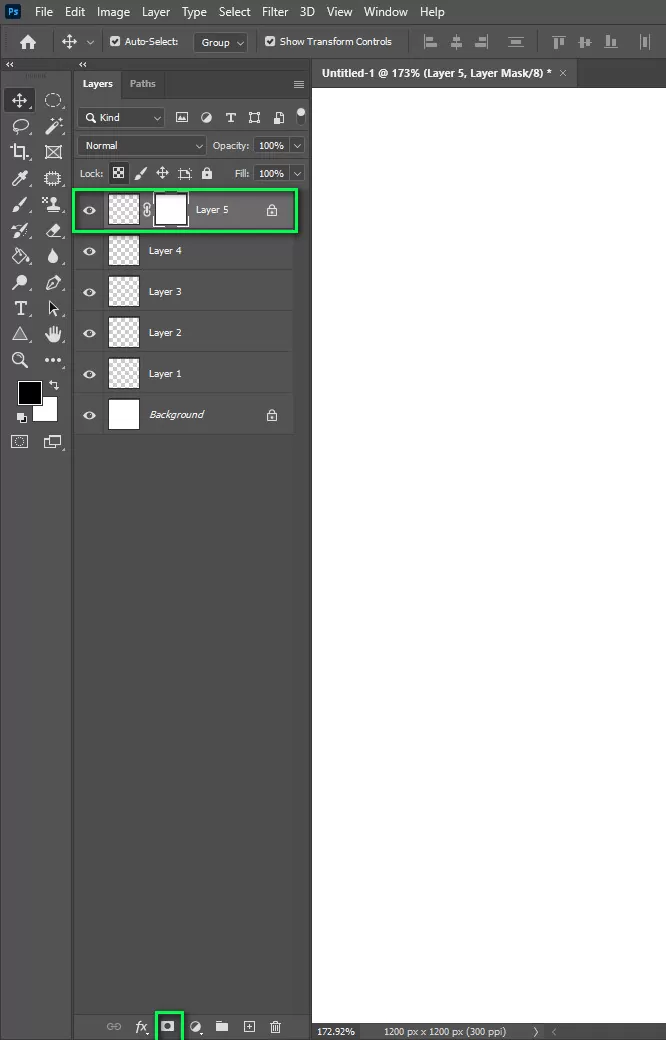 Add Mask on Layer