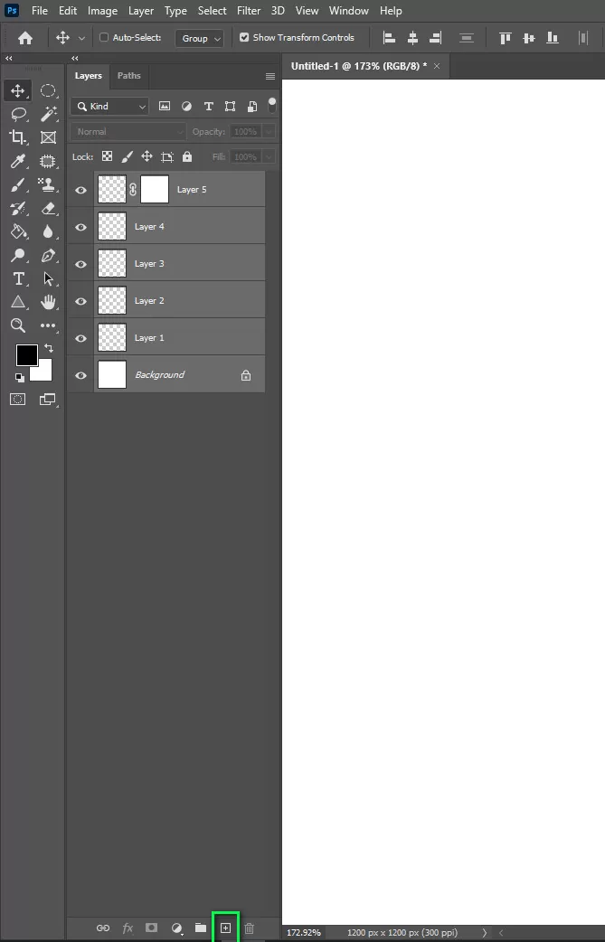 Make a New Layer