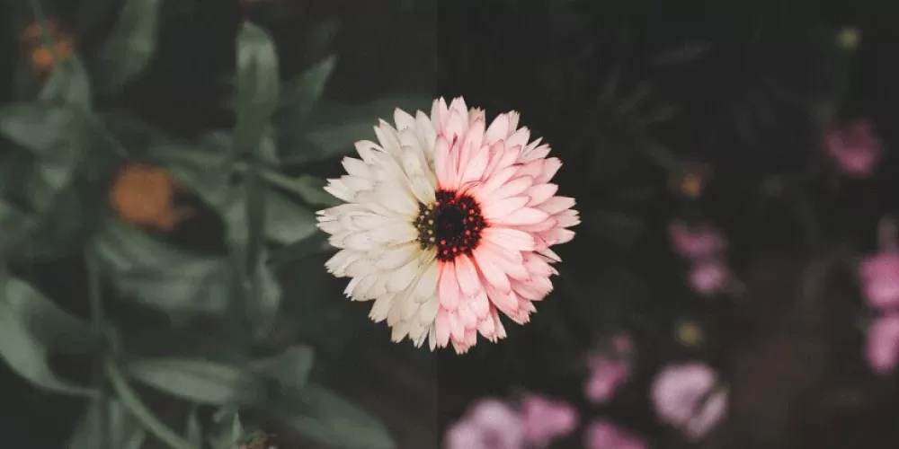 Enhance-The-Colors