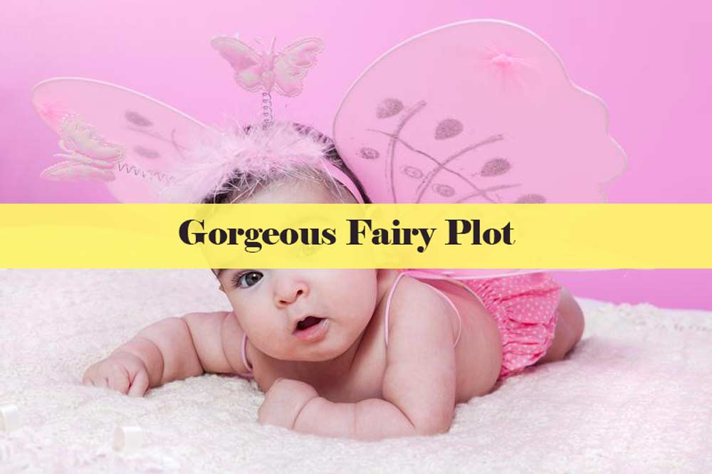 newborn-Baby-Set-a-Gorgeous-Fairy-Plot