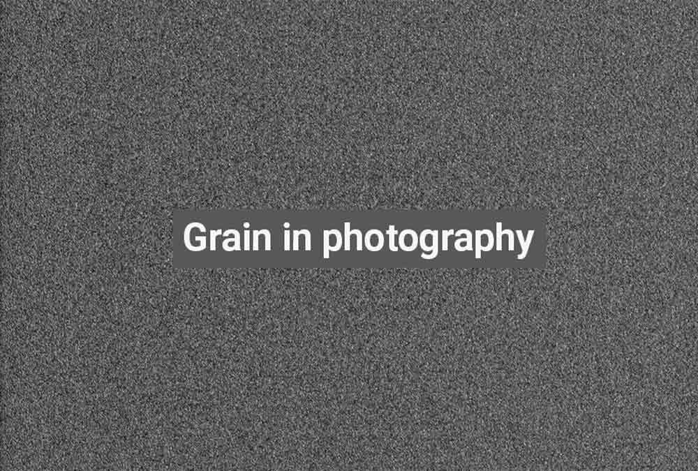 What-is-grain-in-photography-Clipping Path Graphics