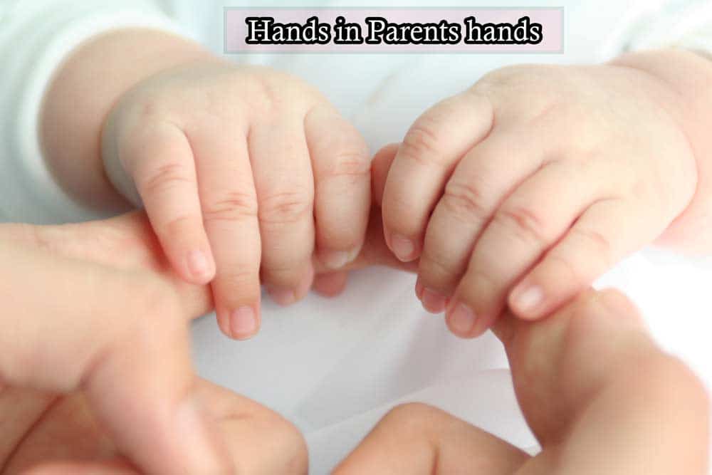 Hands-in-Parents-hands- Newborn photo shoots ideas