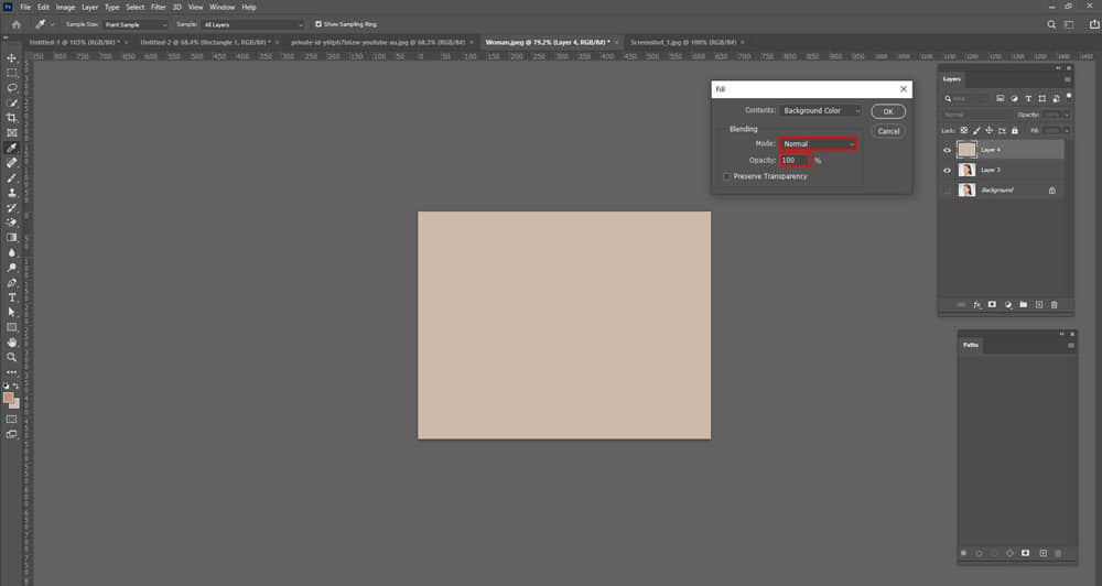 Create A Layer and Fill the Layer With Gray
