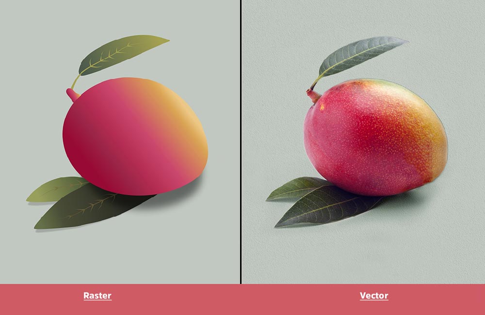 Raster and Vector image Clipping Path Graphics
